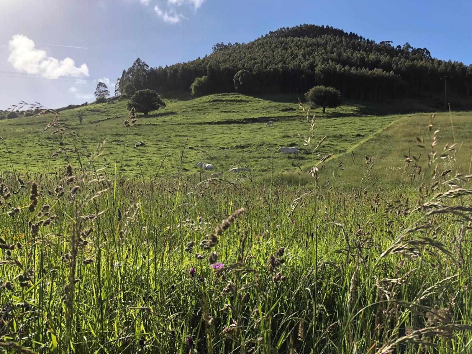 Posada Condado De La Mota Mogro Bagian luar foto